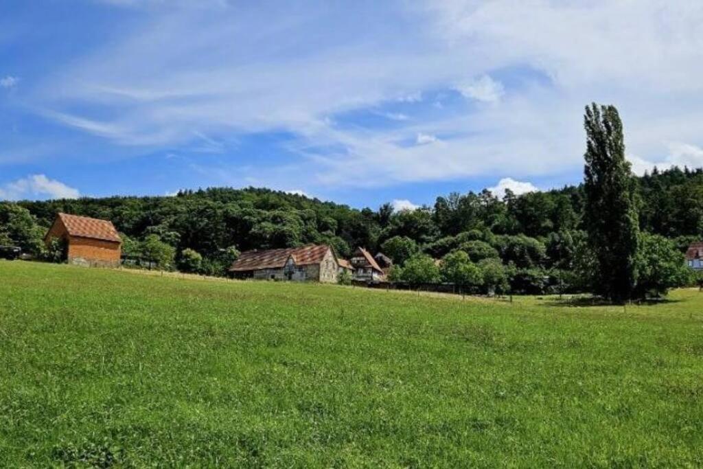 Corps De Ferme Traditionnel Lembach Exterior foto
