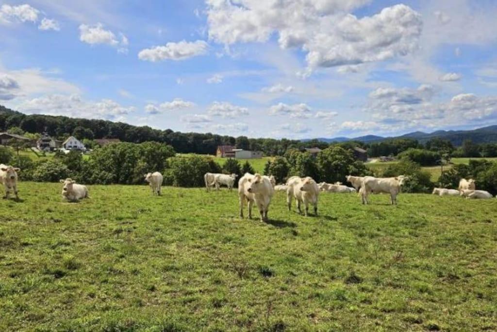 Corps De Ferme Traditionnel Lembach Exterior foto